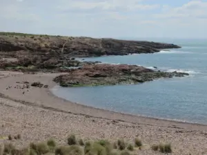 Cabo Dos Bahías (49774682371).jpg