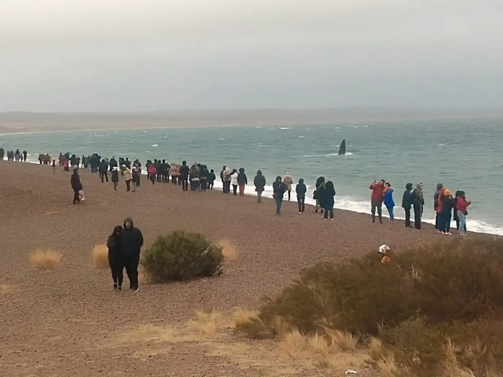 TurismoMuyCerca1.jpg