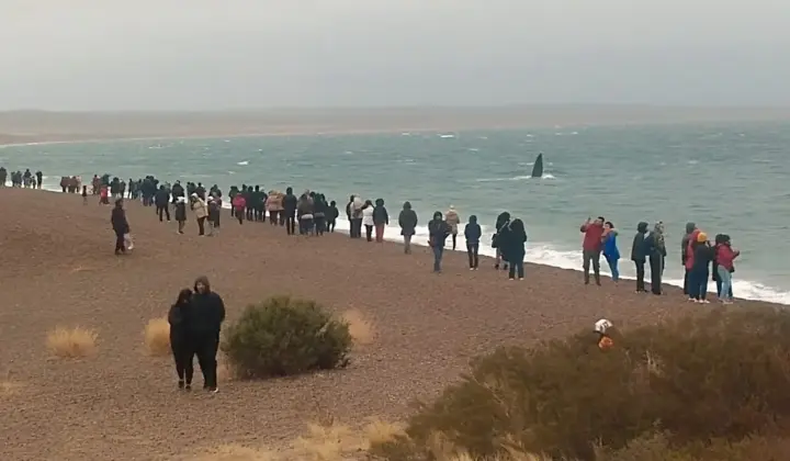 TurismoMuyCerca1.jpg
