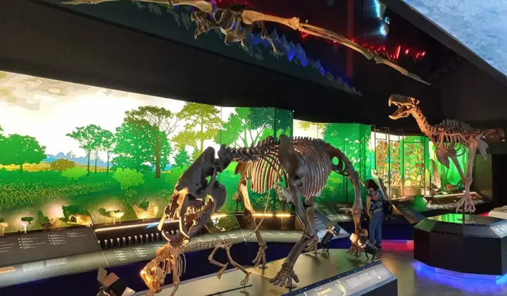 Sala de exhibición del Museo Paleontológico Egidio Feruglio, Trelew