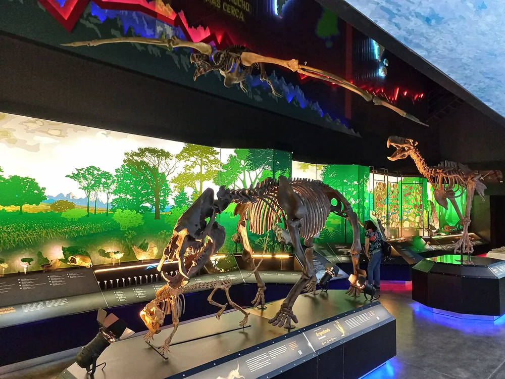 Sala de exhibición del Museo Paleontológico Egidio Feruglio, Trelew